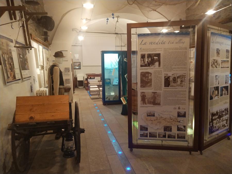 SELES MUSEUM - CELLE MACRA